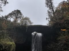 -龙苍沟森林公园