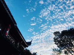 -苏城小院·园林精致苏州菜(斜塘老街店)