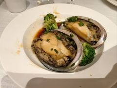 -开海·红岛海鲜虾水饺(石老人店)