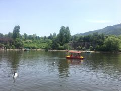 -西安秦岭野生动物园