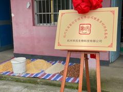 -宋宴(虎跑店)
