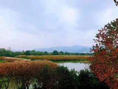 -西溪国家湿地公园