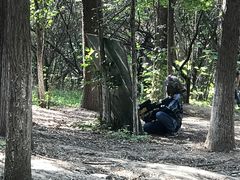 -亲兄弟真人CS团建拓展基地