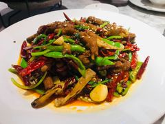 -天辣(金桥啦啦宝都店)