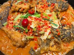 -老板恋上鱼(恒隆广场店)