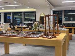 -Eziwish眼镜·蔡司授权店