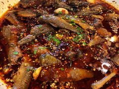 -情妹耙泥鳅·江湖川菜(科华店)