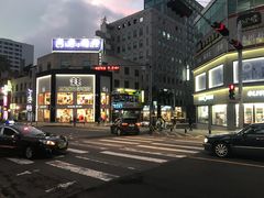 -莲洞本家