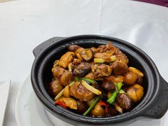 板栗焖鸡-金华安大酒楼·老牌潮菜·粤式茶点(东方国际店)