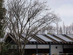 -嘉北郊野公园