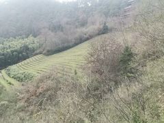 -敬亭山风景名胜区