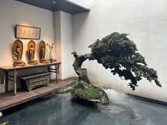 -觀芷隐轩