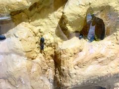 -上海昆虫博物馆