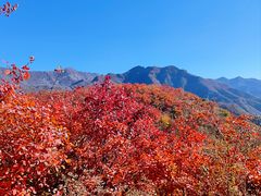 -周口店坡峰岭风景区