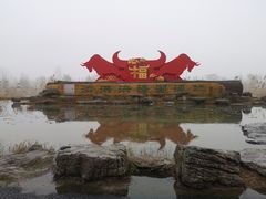 -泗洪洪泽湖湿地景区