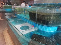 水产区-蓝珊甄选海鲜自助·火锅大排档(近阿那亚店)
