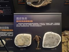 黑椒牛柳套餐-贝林大翅鲸简餐厅(国家海洋博物馆店)