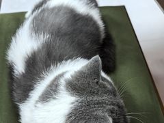 -seeu coffee(江滩店)