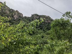 -大岭沟猕猴桃谷风景区