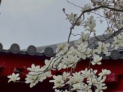-大慈恩寺(大雁塔)