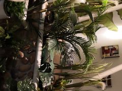 -北里·4k影院式足疗SPA馆(观音桥店)