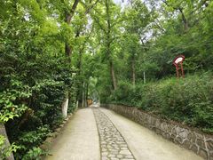 -九华山公园