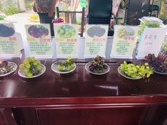 -马陆小张葡萄园农家乐