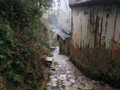 -杨家堂村