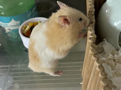 -万达广场(芜湖镜湖店)