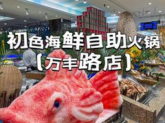 -初色海鲜自助(万丰路店)