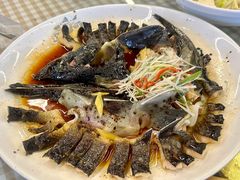 -京北渔家傲