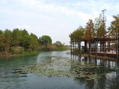 -贡湖湾湿地公园
