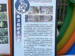 -青藏高原野生动物园