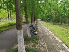 -上海长兴岛郊野公园