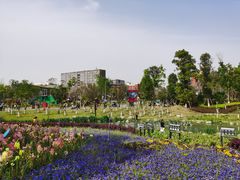 -天府芙蓉园