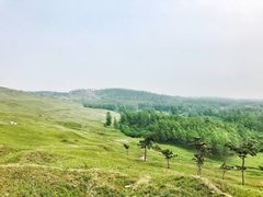 -恋山坝上草原