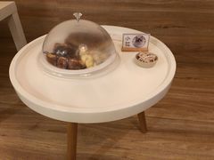-滚猫咖啡·猫咖·猫友好撸猫(未来城店)