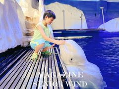 -秦皇岛乐岛海洋王国