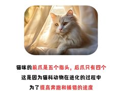 -北京京卫宠物寄养训练中心