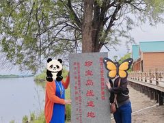 -珍宝岛