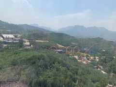 -石家庄市动物园