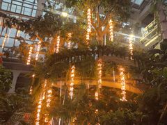 -正佳雨林生态植物园