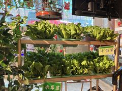 -锦上中式酒馆(南内环店)