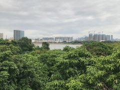 -立新湖公园