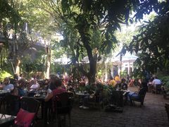 -Fern Forest Cafe