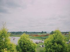 -空港花田景区