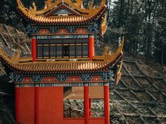 -东莞市大岭山森林公园
