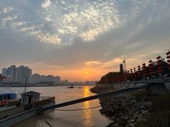 -江心屿景区