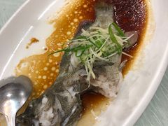 -寻味顺德·南记酒家·传统顺德菜·鱼生(广源路店)