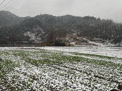 -安吉龙王山风景区